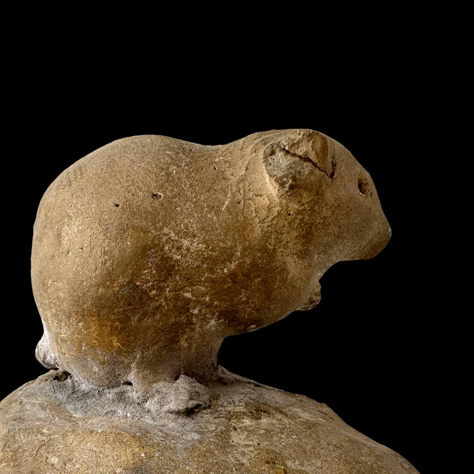 Souris en Terre-Cuite Signée Marguerite Monot (France) - Années 1930/1940