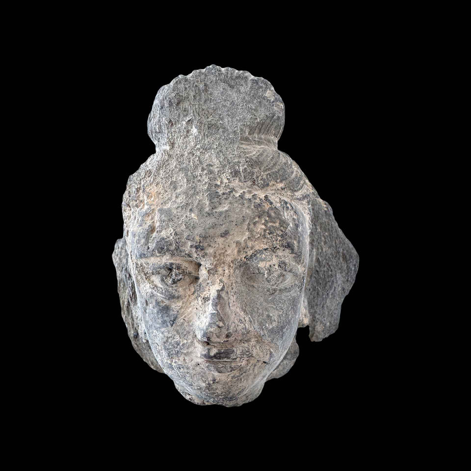 Tête de Bouddha Gandhara en Schiste Gris (Gréco-Bouddhique) - Ier à Ve siècle