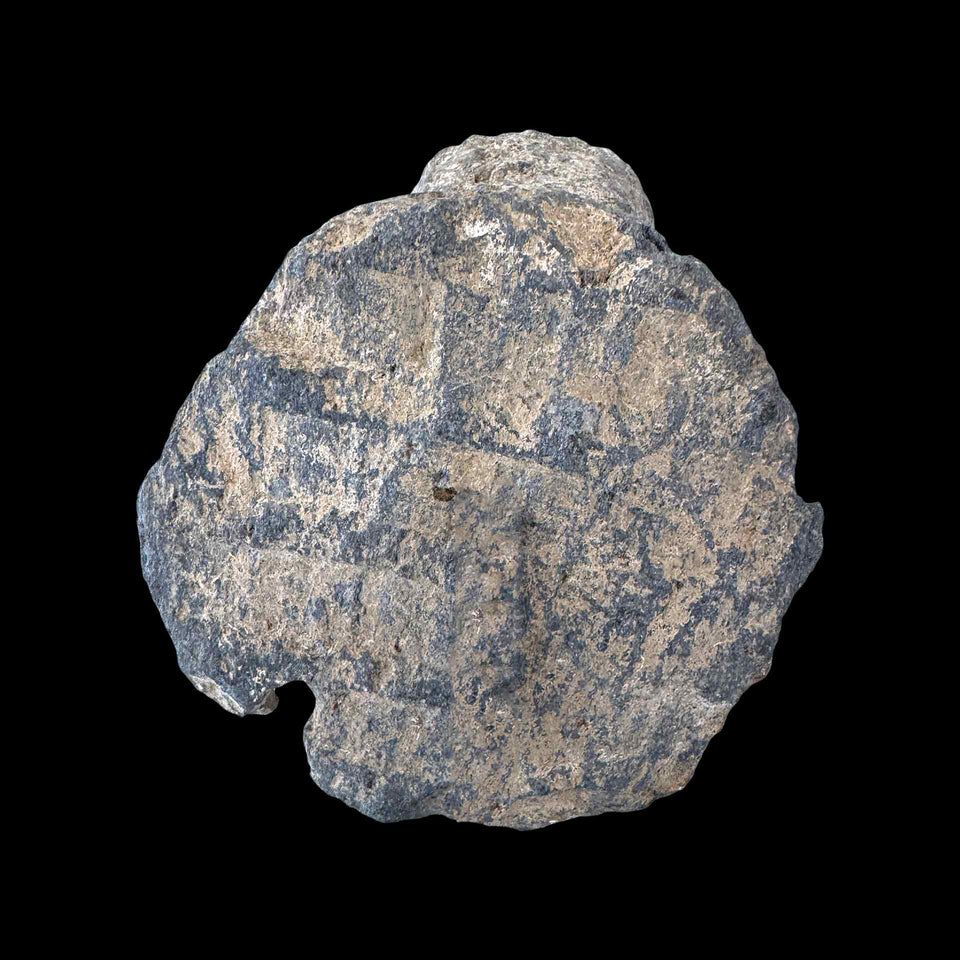 Tête de Bouddha Gandhara en Schiste Gris (Gréco-Bouddhique) - Ier à Ve siècle