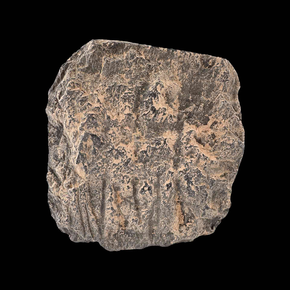 Visage d'Homme Gandhara en Schiste Gris (Gréco-Bouddhique) - Ier à Ve siècle