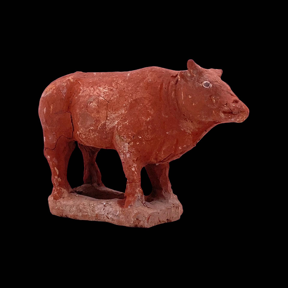 Buffle en Terre-Cuite (Chine) - VIe/IXe siècle (Dynastie Tang)