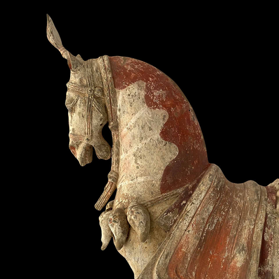 Cheval Weï en Terre-Cuite (Chine) - IVe à VIe siècle (Dynastie Weï)