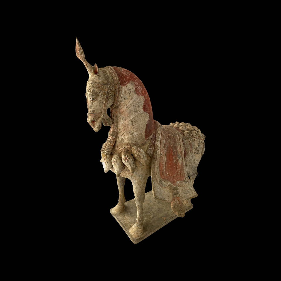 Cheval Weï en Terre-Cuite (Chine) - IVe à VIe siècle (Dynastie Weï)