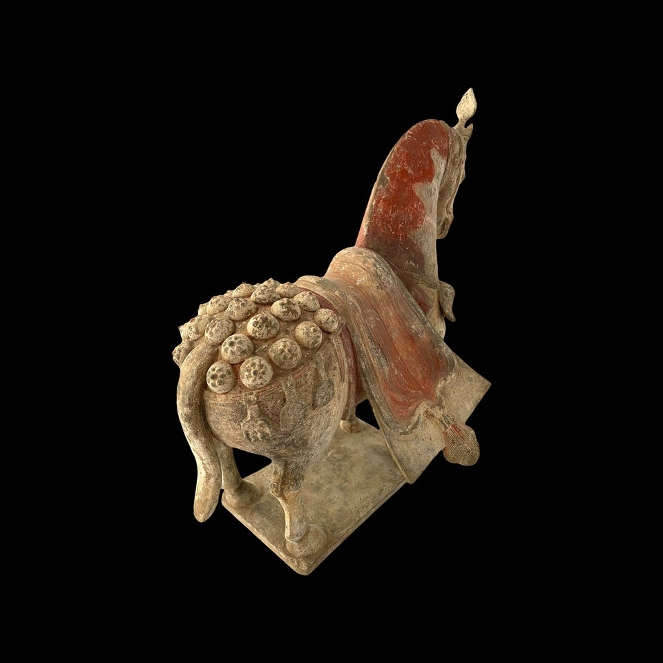 Cheval Weï en Terre-Cuite (Chine) - IVe à VIe siècle (Dynastie Weï)