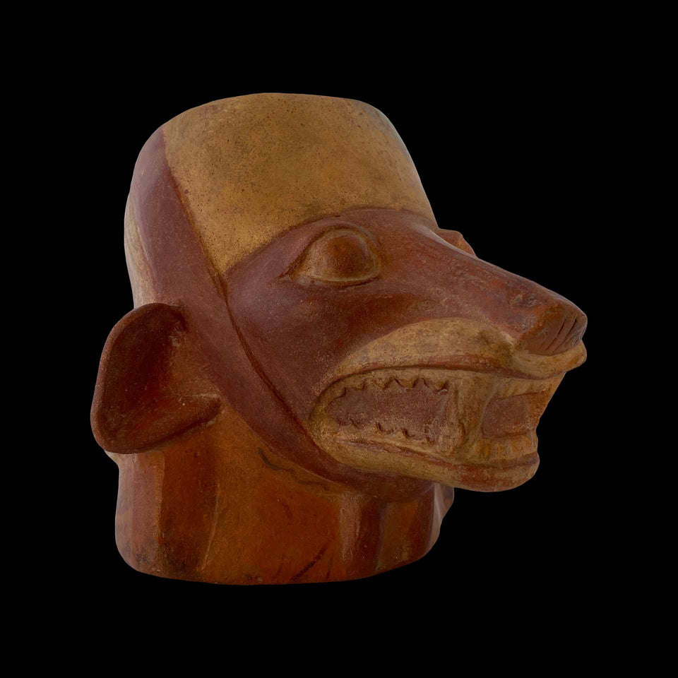 Kéro à Tête de Renard de Culture Moché (Mochica) en Céramique (Pérou) - IIIe/Ve siècle