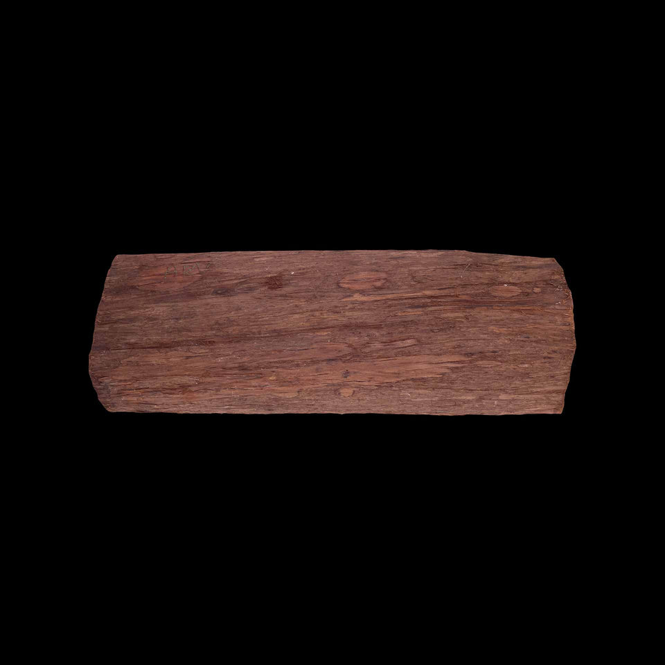 Peinture Aborigène sur Écorce d’Arbre (Australie) - Première Moitié du XXe siècle