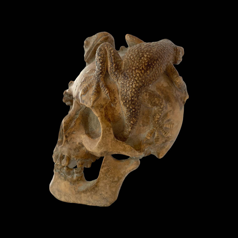 Vanité en Bois Sculpté (Europe) - XIXe siècle