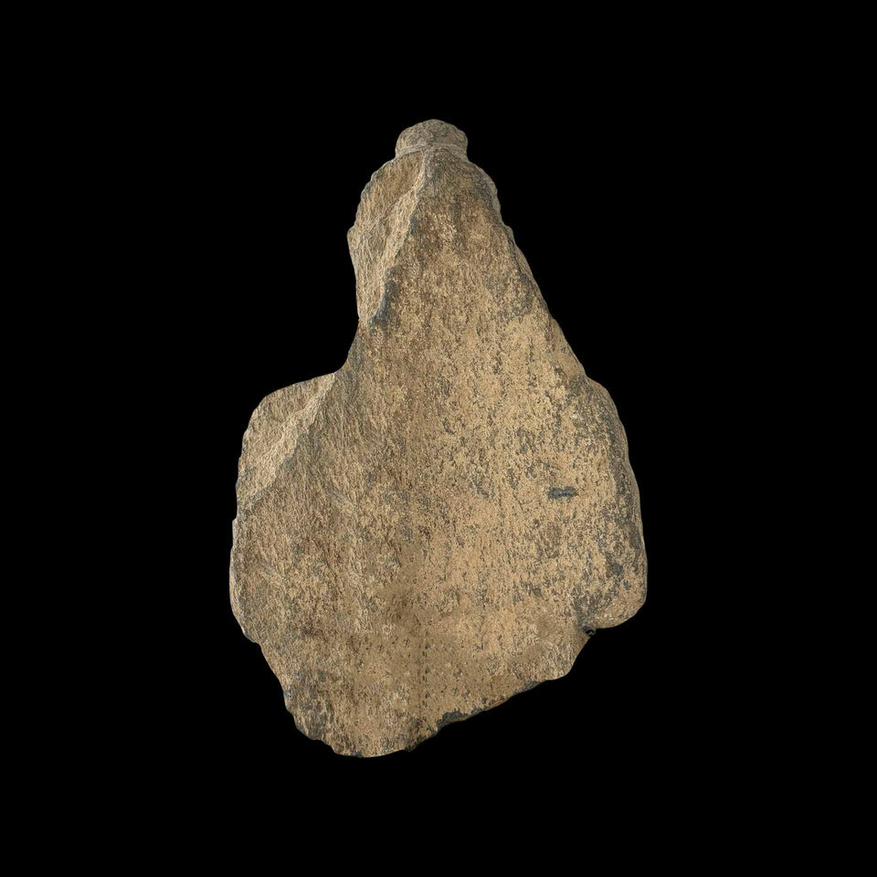Buste de Bouddha Gandhara en Schiste Gris (Gréco-Bouddhique)  - Ier à Ve siècle