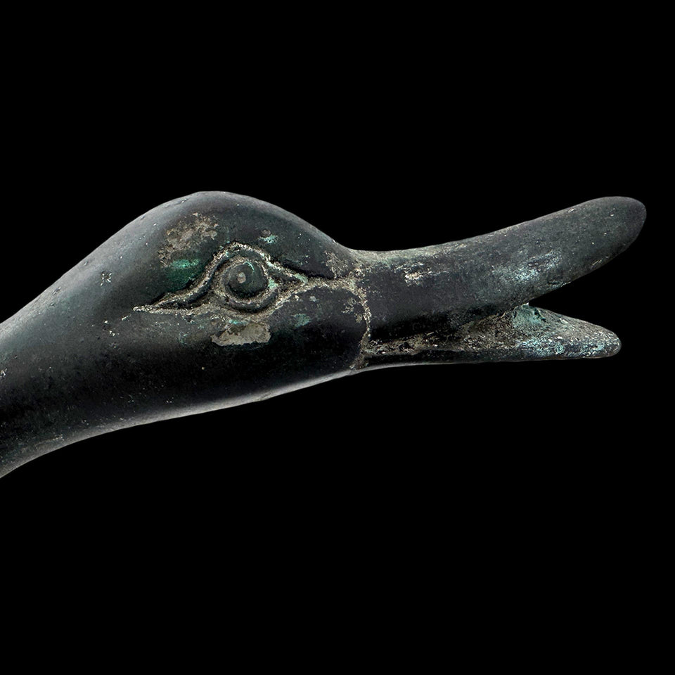 Tête de Canard en Bronze (Rome) - Ier à IIe siècle
