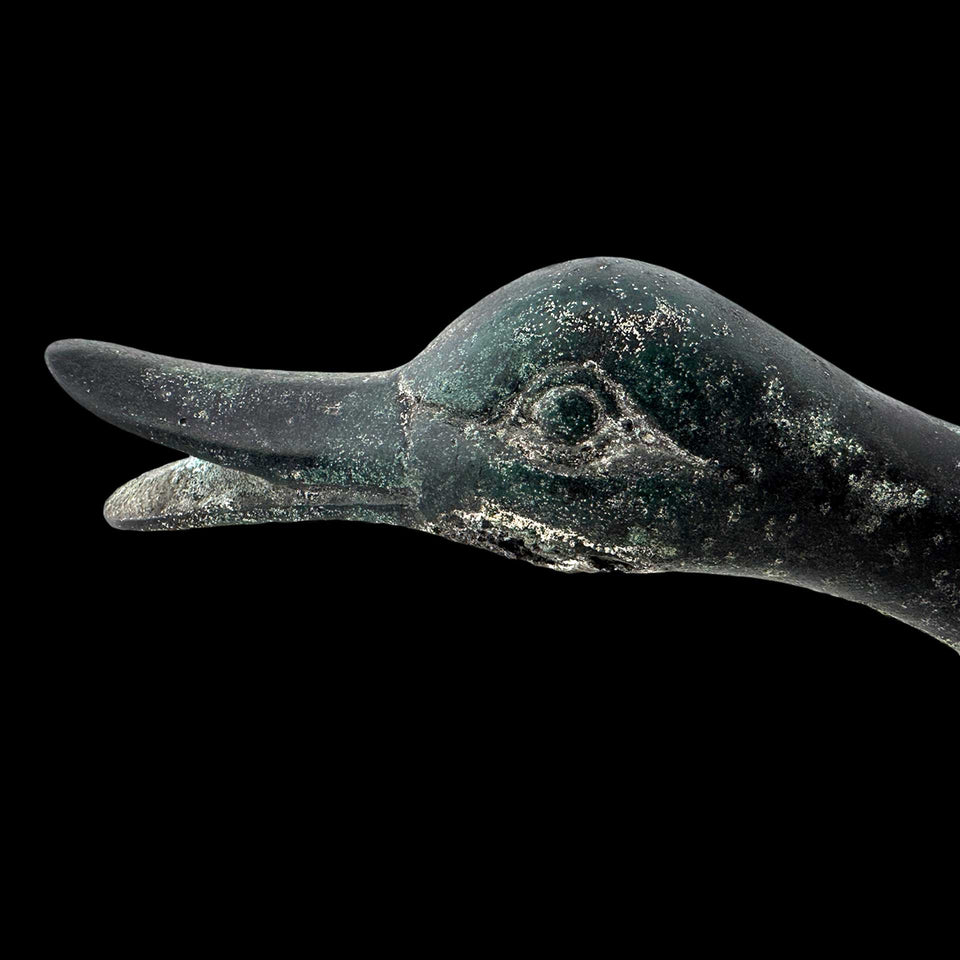Tête de Canard en Bronze (Rome) - Ier à IIe siècle
