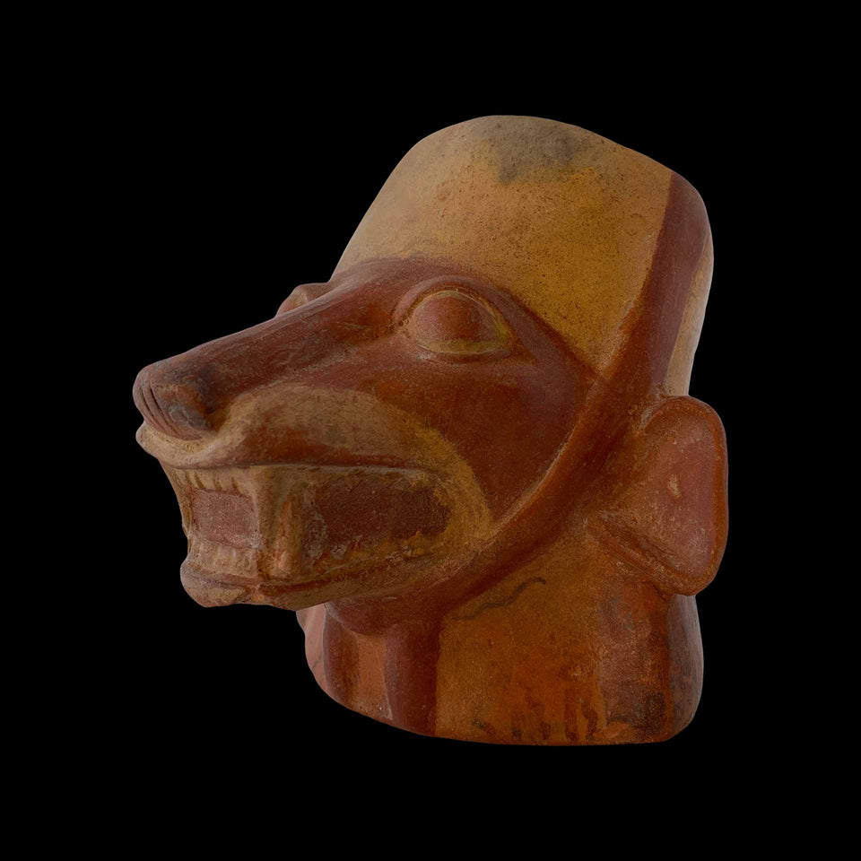 Kéro à Tête de Renard de Culture Moché (Mochica) en Céramique (Pérou) - IIIe/Ve siècle