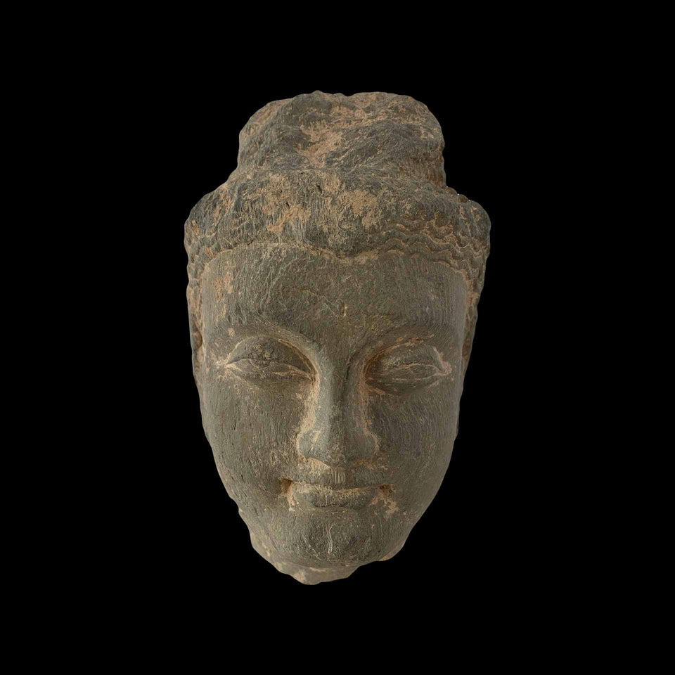 Tête de Bouddha Gandhara en Schiste Gris (Gréco-Bouddhique) - Ier/Ve siècle